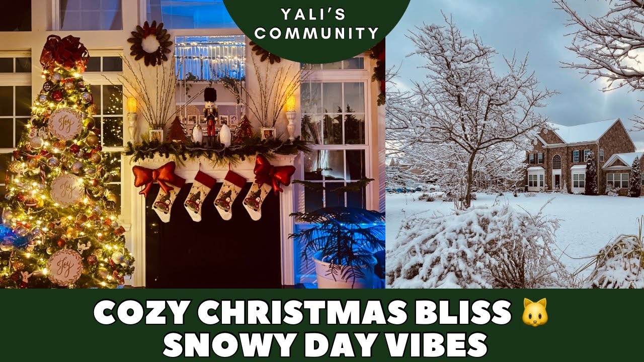 Снежный рождественский день дома: уютный декор, кошки и растения 🐱🌿