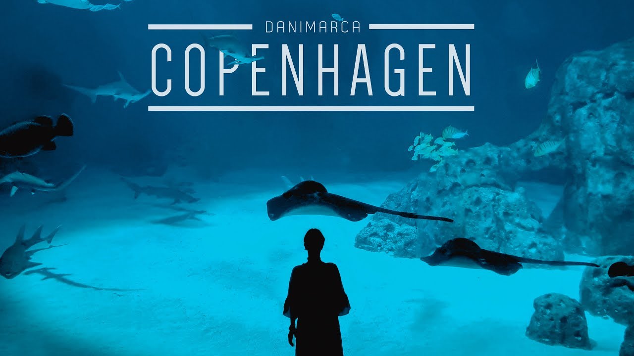 Copenhagen - Acquario, Musei e Tivoli