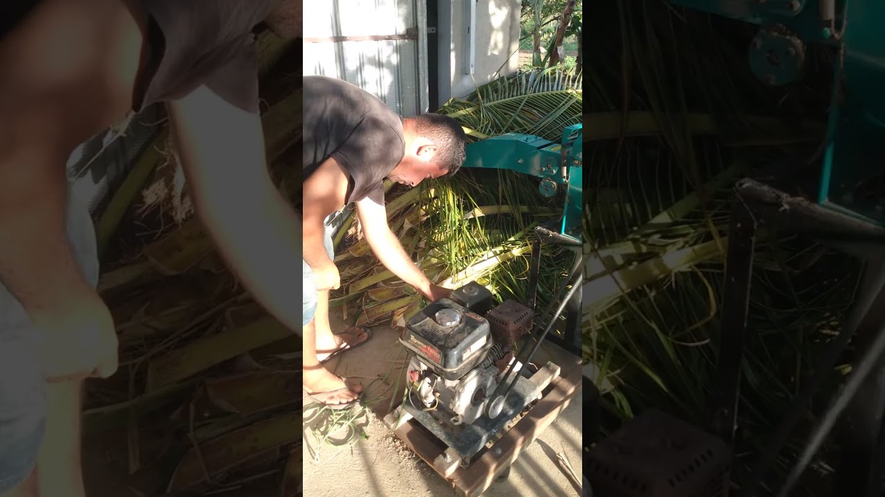 triturador palha de coco com ensiladeira GTE 2000 garthen bom para seu jardim