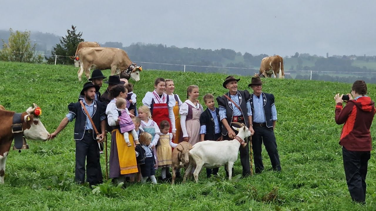 Désalpe villages de Albeuve  alpaufzug switzerland 🇨🇭 2023 2024