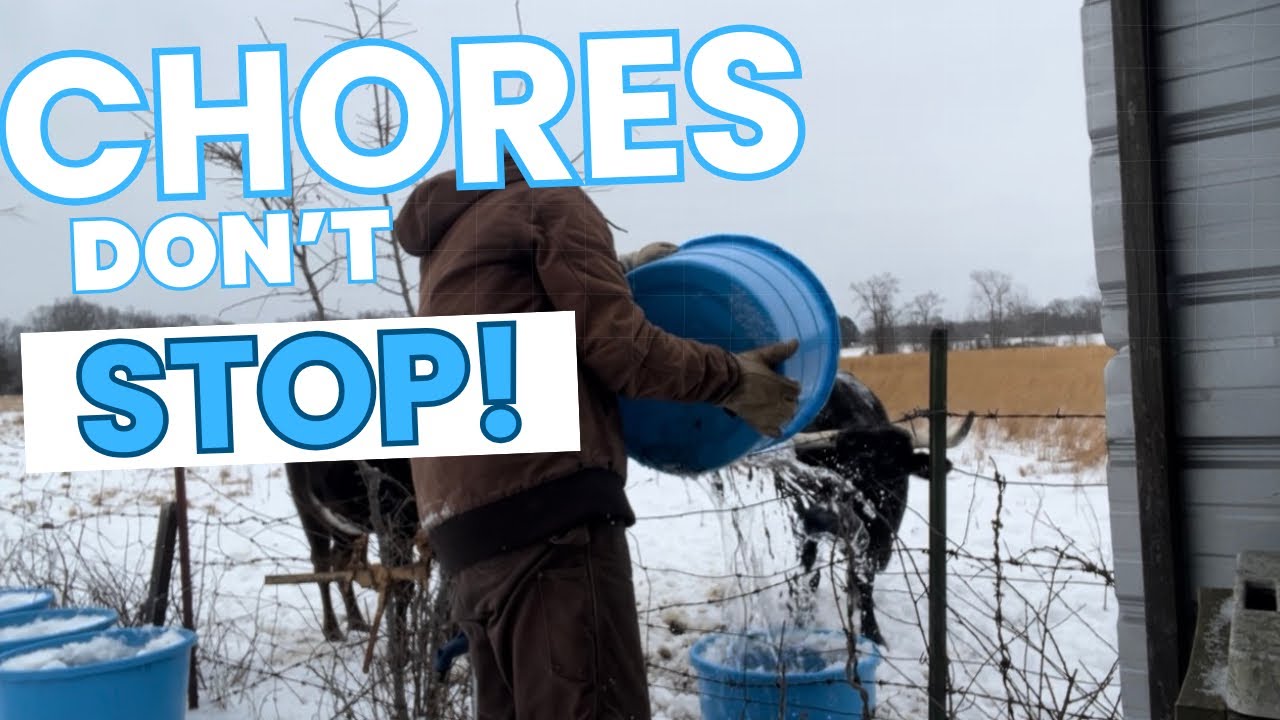 ❄️Промерзшая земля, бесконечные хлопоты: зимняя буря и жизнь на ферме, использующей методы регене...