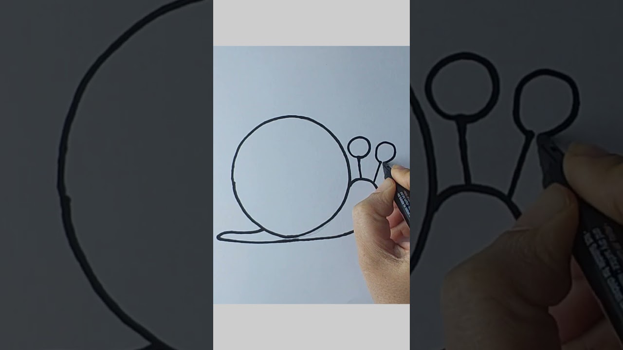 how to draw cute snail - step by step - drawing for kids 😍