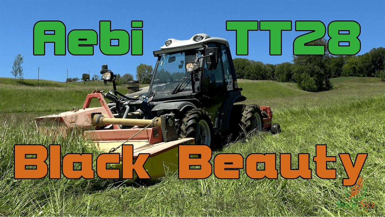 Aebi TT280 Black Beauty | Gras mähen