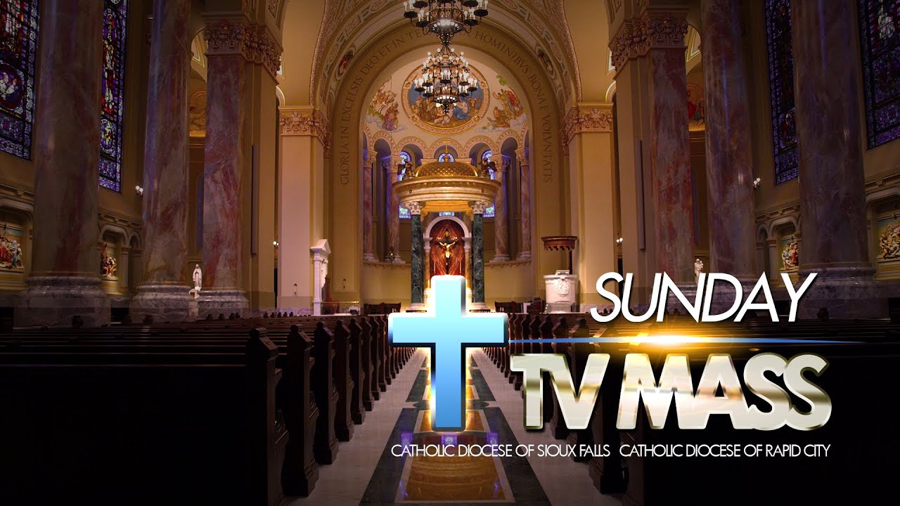 Sunday TV Mass - June 30, 2024
