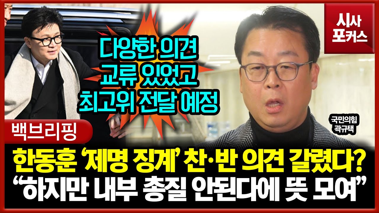 국민의힘,곽규택,원내수석대변인,한동훈,징계,제명,찬성,반대,의견,교환,내부총질,최고위,전달,예정,국회,여의도