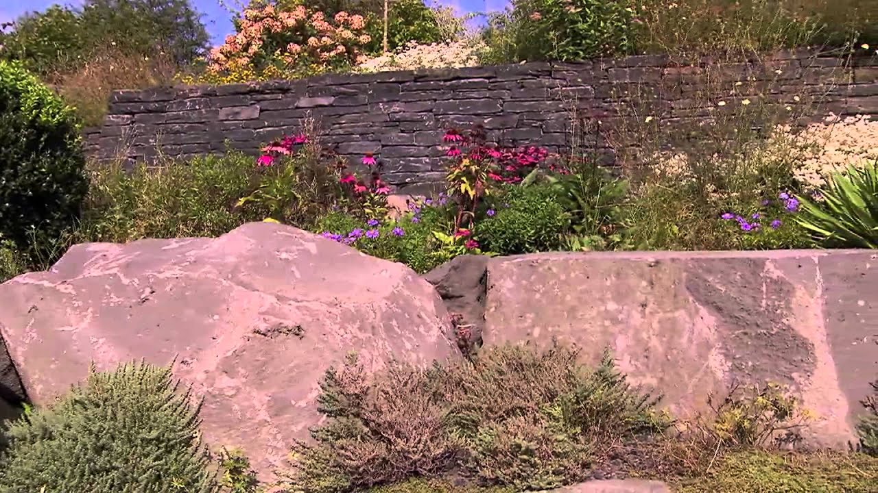 Moderner Garten (Garten-Design)