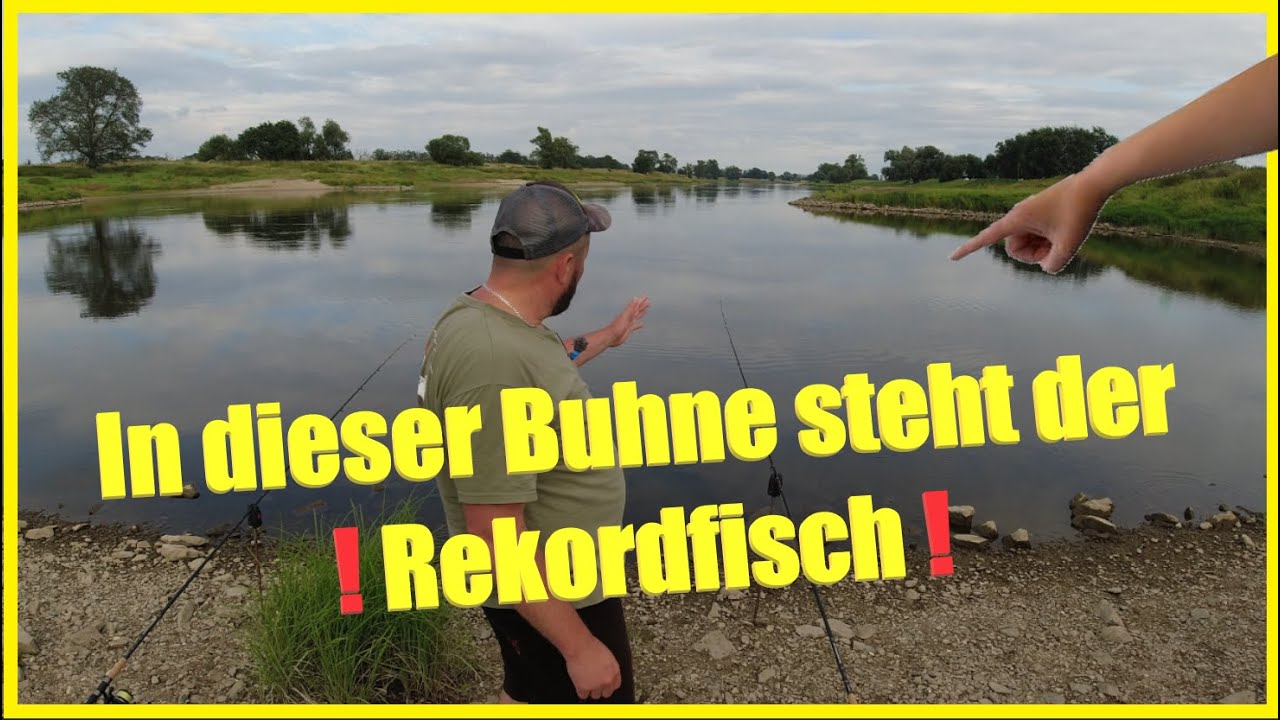 Angeln am Fluss mit Köderfisch und Wurm auf Aal Zander und Wels über Nacht !Fisch eskaliert an Elbe!