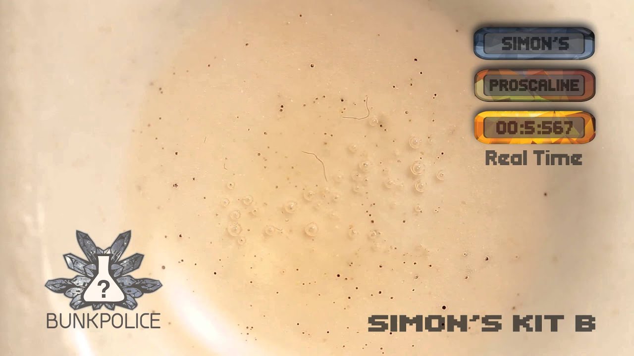 Proscaline - Simon's Reagent - Normal Test Kit - Bunk Police