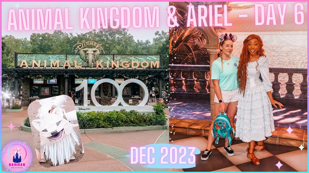 Walt Disney World Vlog Day 6 Animal Kingdom Park Lion Roar & Hollywood Studios The Little Mermaid
