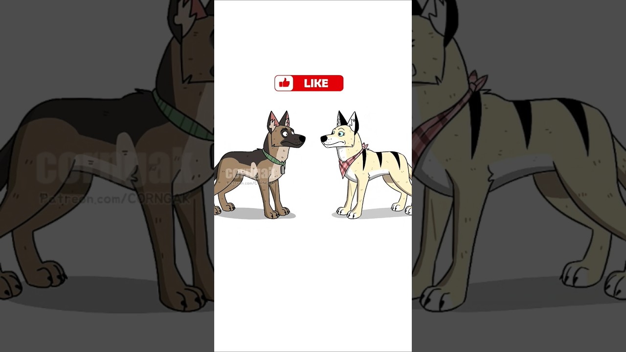 Past present future Love Pixie And Brutus | Guess which one is correct?? #art #dog #cat #shorts