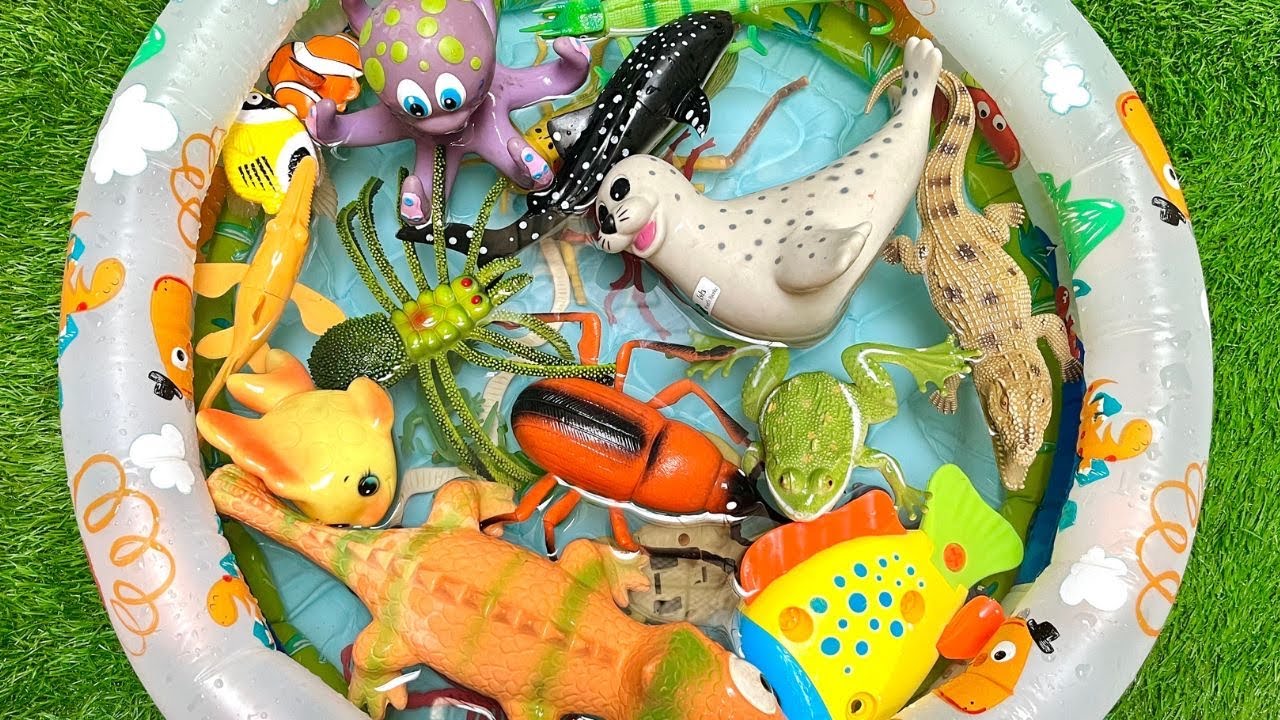 deep blue seas and tiny bugs: tiny crawling insects for kids