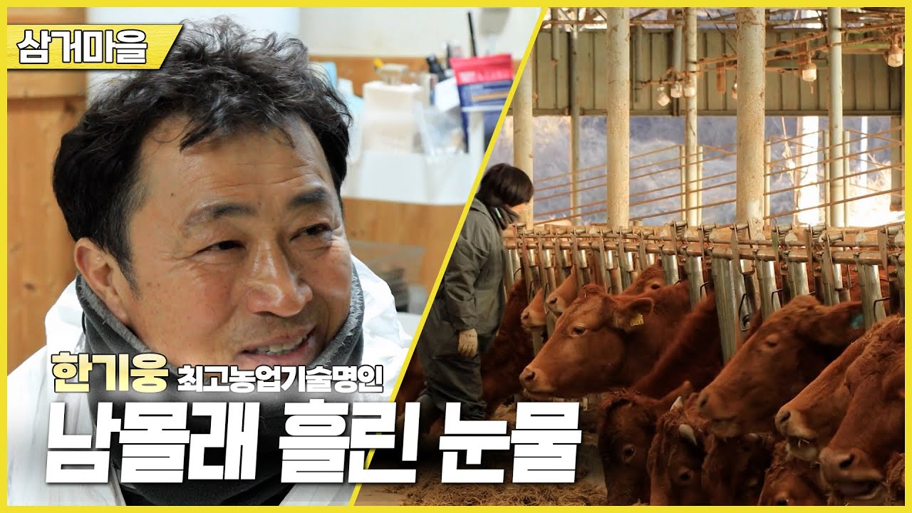 新우문현답 | 464회 훈장의 무게 | 경남 진주시 이반성면 삼거마을  (KBS 2026.01.14.수 방송)