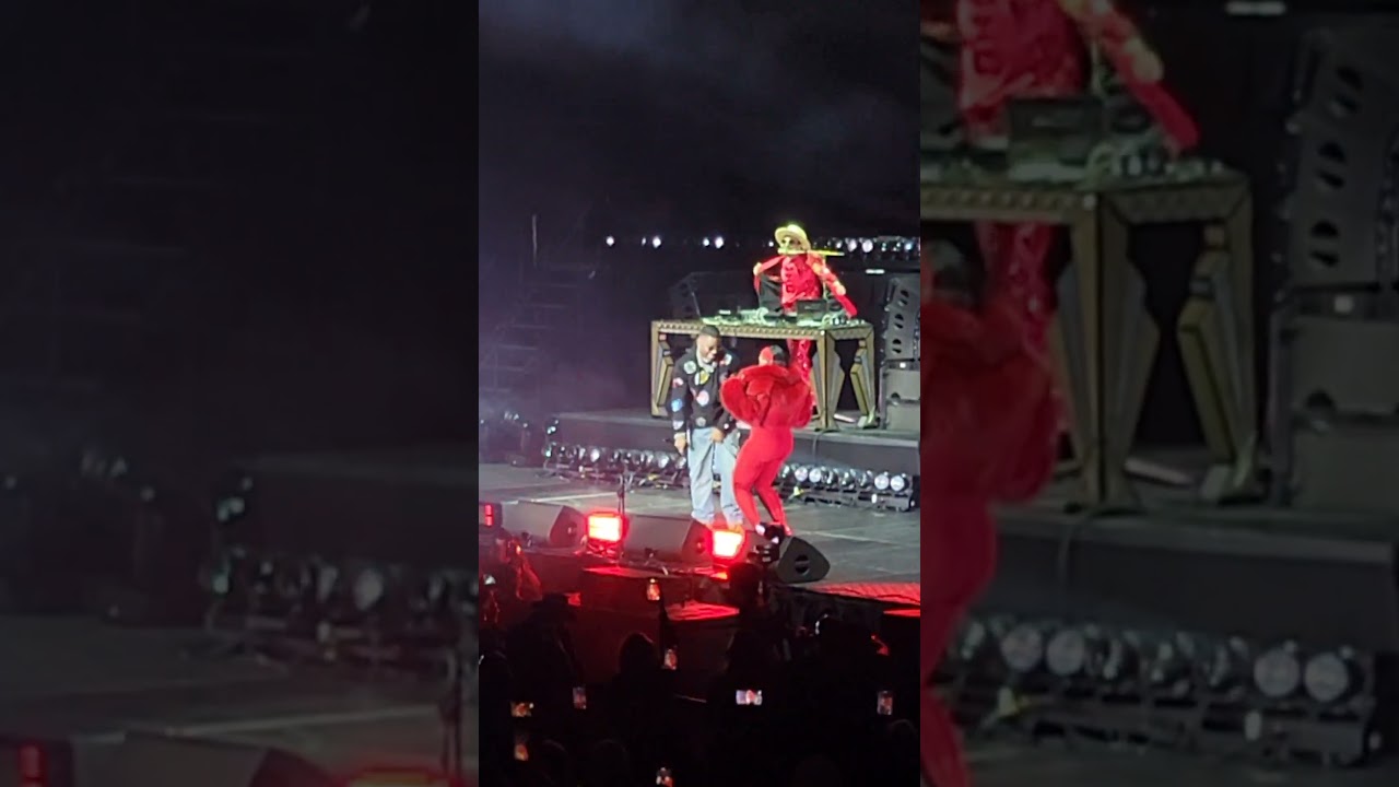 Nelly and Ashanti at Kia Forum 2/14/2026 #nelly #ashanti #rnb #hiphop #song #hit