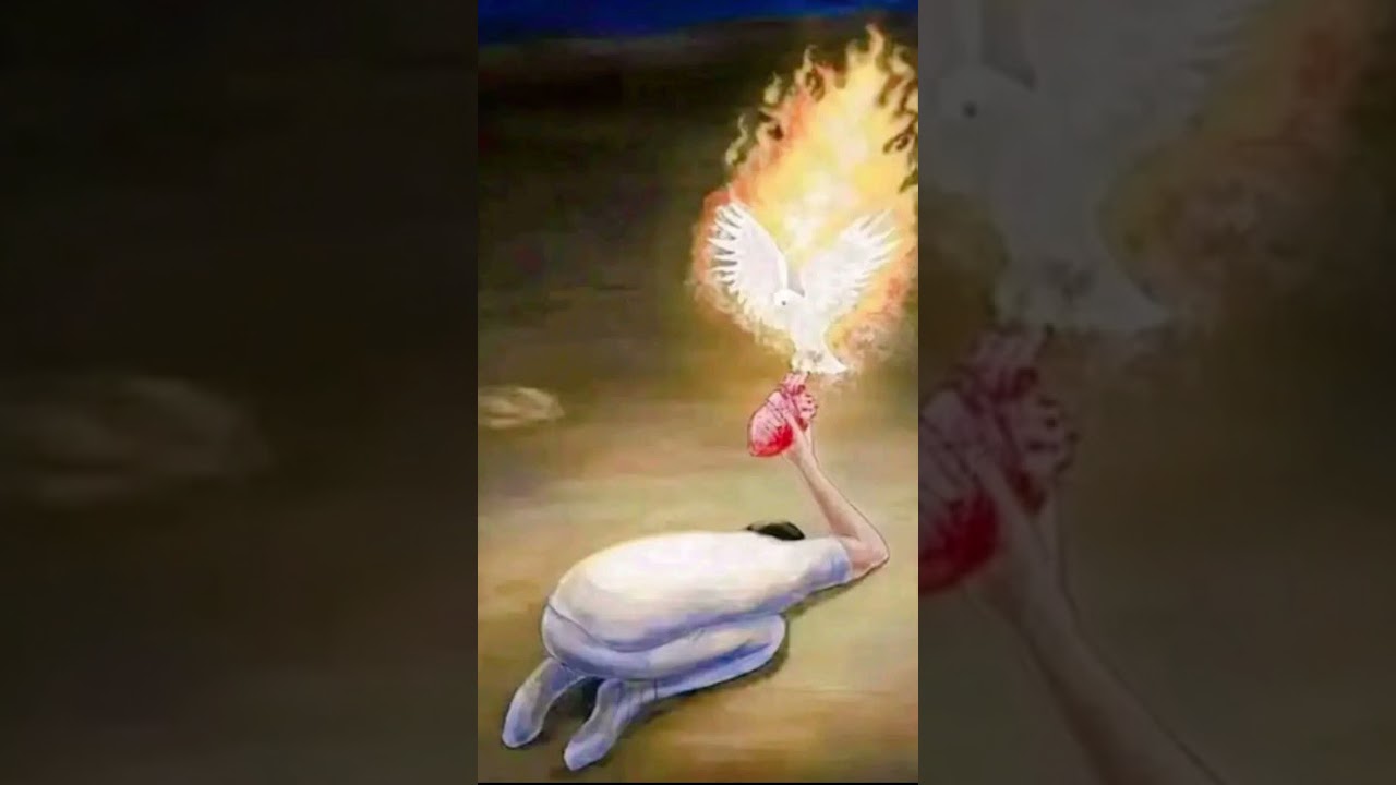 #musica #amor #espiritosanto #diosesvida #diosesbueno #jesuschrist #catolicosoy