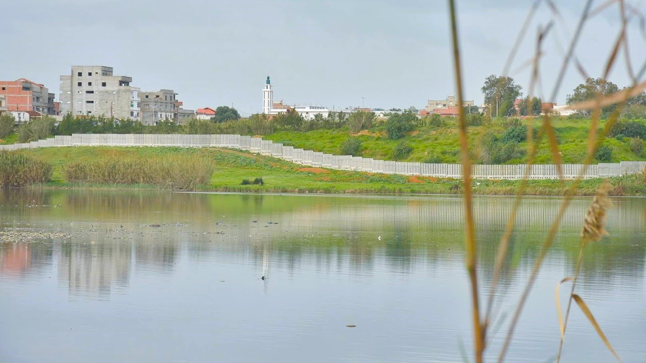 ضمن المخطط الأخضر لمدينة الجزائر: تابعو انطلاق عملية تجديد و تأهيل بحيرة الرغاية BOHAIRA