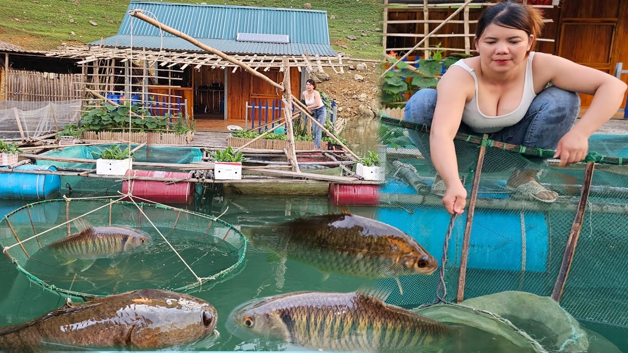 The girl trap fish on the floating house.