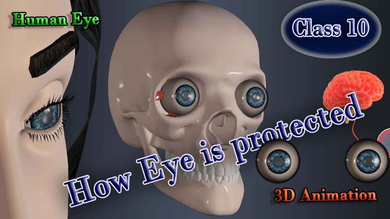 защита глаз