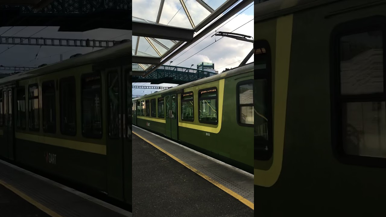 Dart train in bray