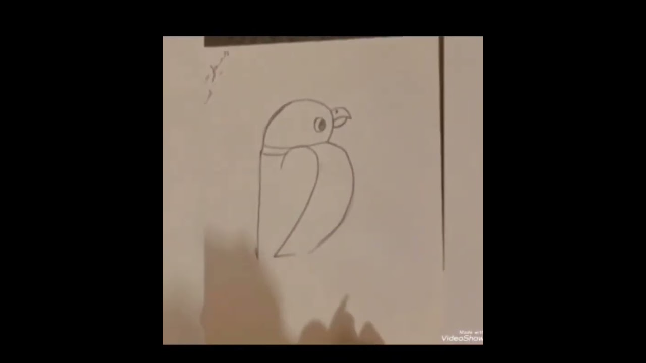 چگونه یک طوطی بامزه بکشیم .🎨 Let’s draw a colorful parrot together!