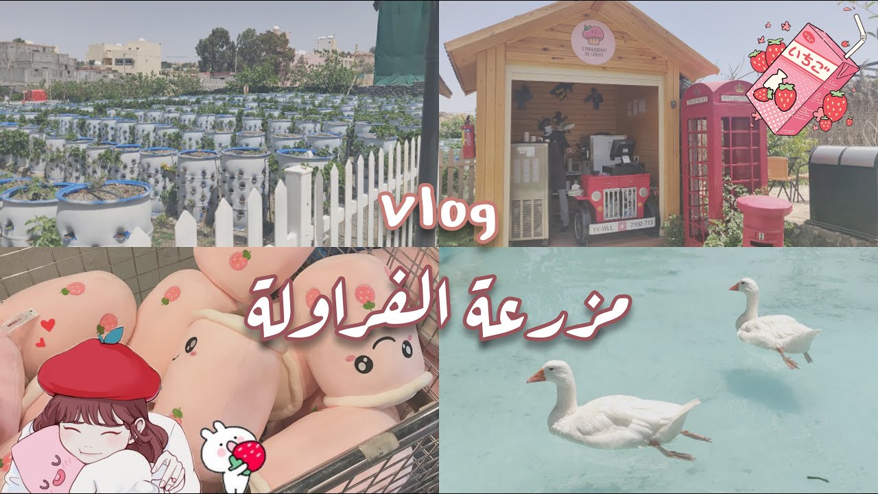 فلوق مزرعة الفراولة 🍓|vlog strawberry farm 🍓