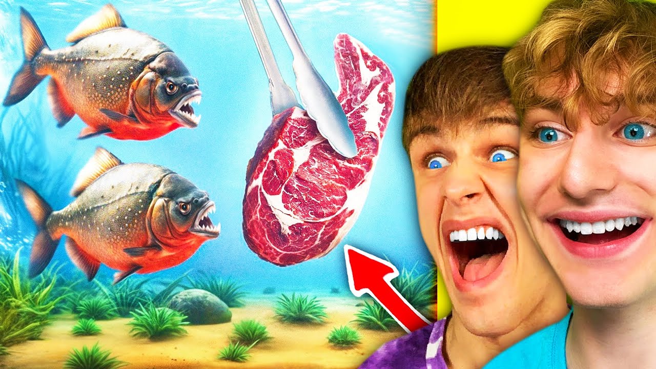 KOUPIL jsem PIRANĚ do SVÉHO AKVÁRKA a TAKTO TO DOPADLO...