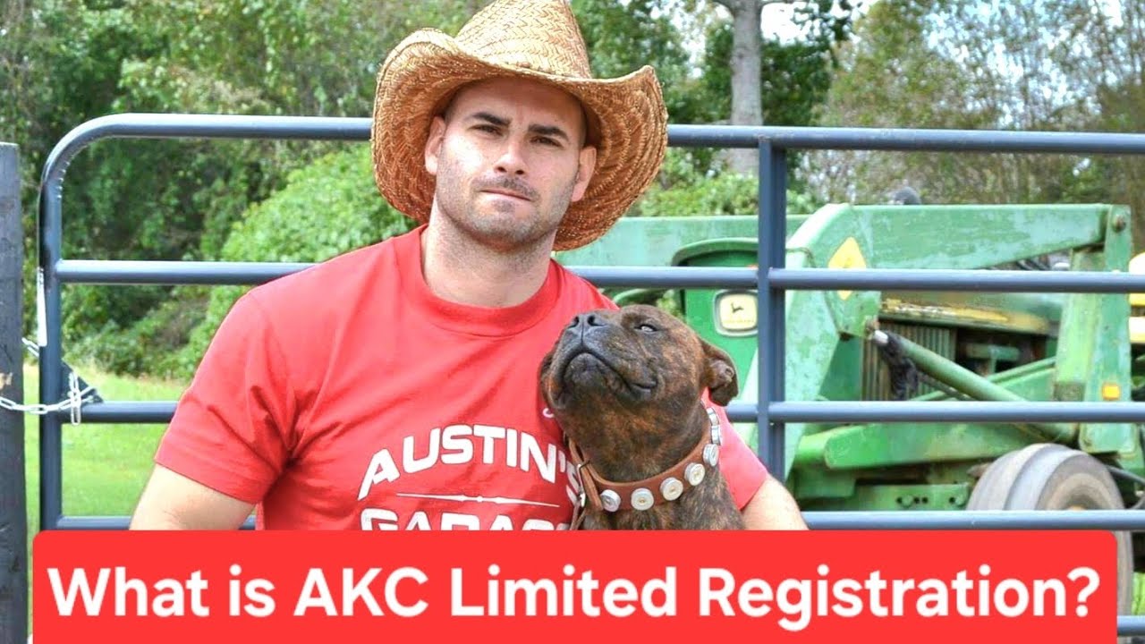 Limited AKC Registration? Why? What's it for? What is it?