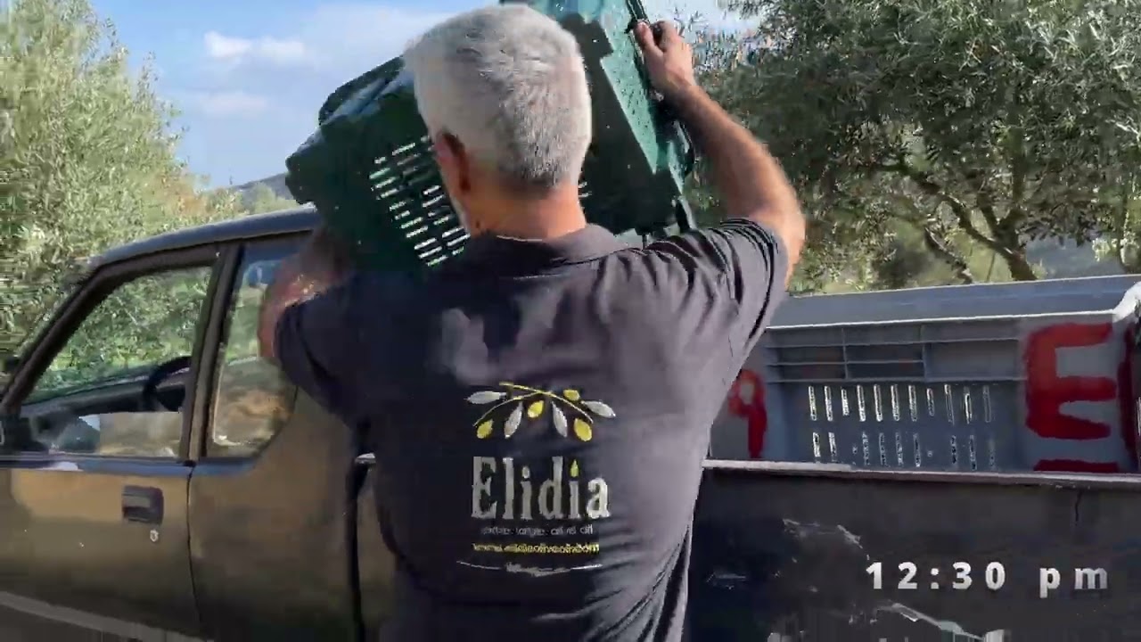 Elidia evoo - Our story