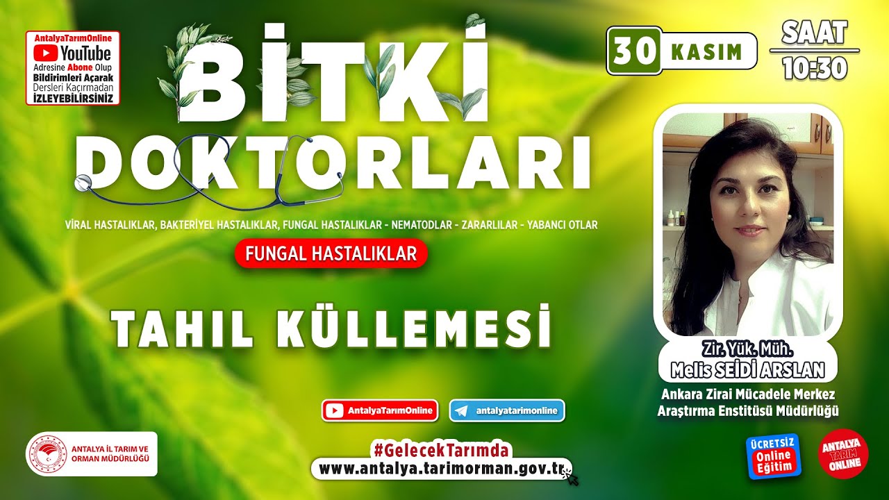 Bitki Doktorları 124-Tahıl Küllemesi