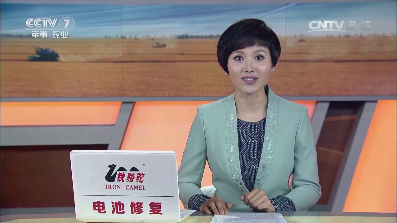 20170717 农广天地  观赏菊花的栽培