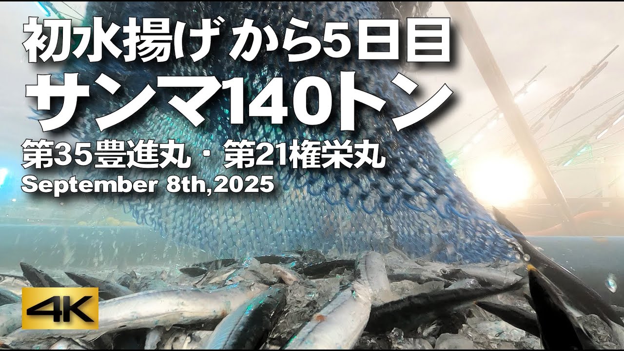 【初水揚げから５日目　サンマ140トン】第35豊進丸・第21権栄丸 September 8th,2025