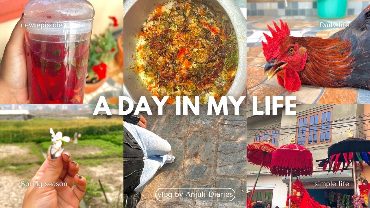 A day in my life vlog 🌺 cozy and productive day | Biryani making, Newa Jatra, Detox water