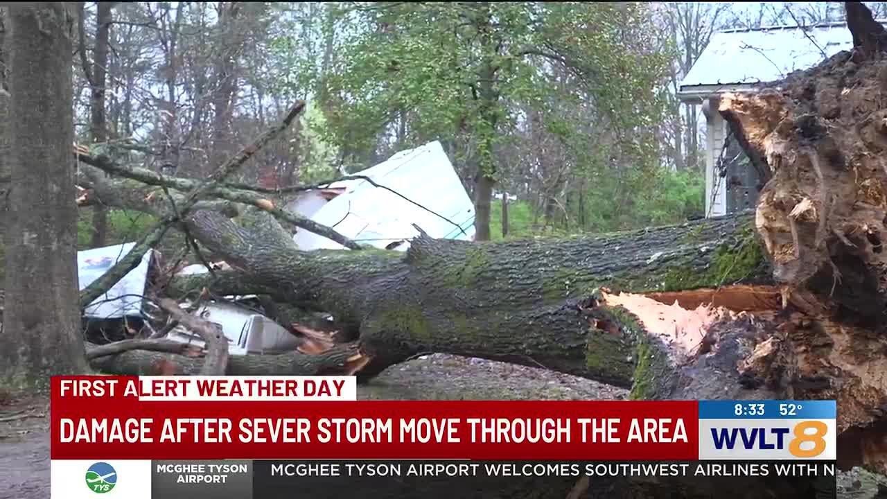 «Как землетрясение» | Ночные штормы обрушили огромную ветку возле дома семьи в округе Блаунт