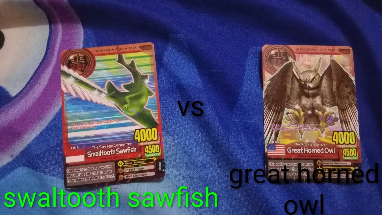Tournament Animal kaiser+ season 2 episode 1(swaltooth sawfish vs Great horned owl)