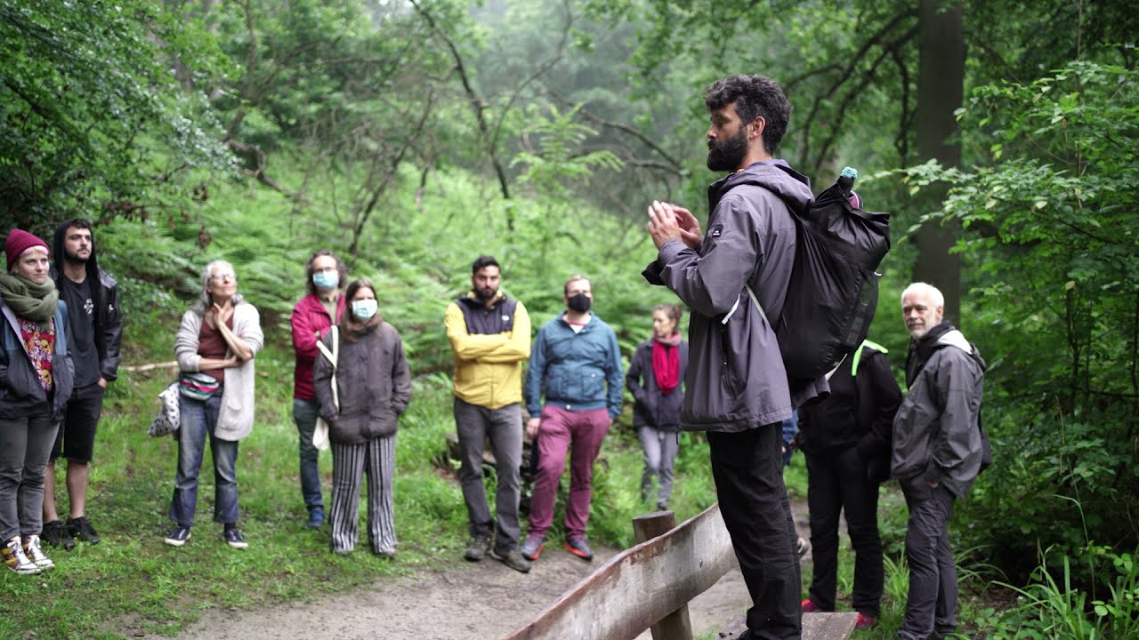 Firefly Session ft. Ann Heynen & Raphael De Cock