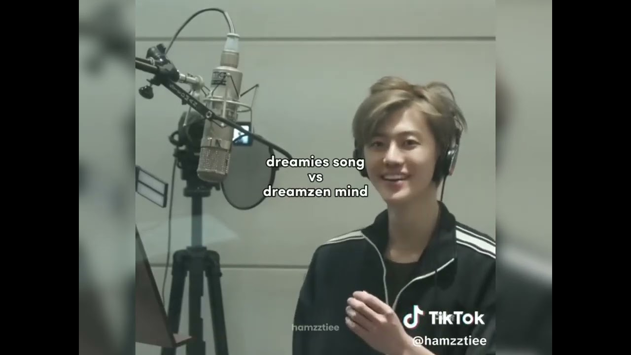 Dreamies song vs Dreamzen mind
