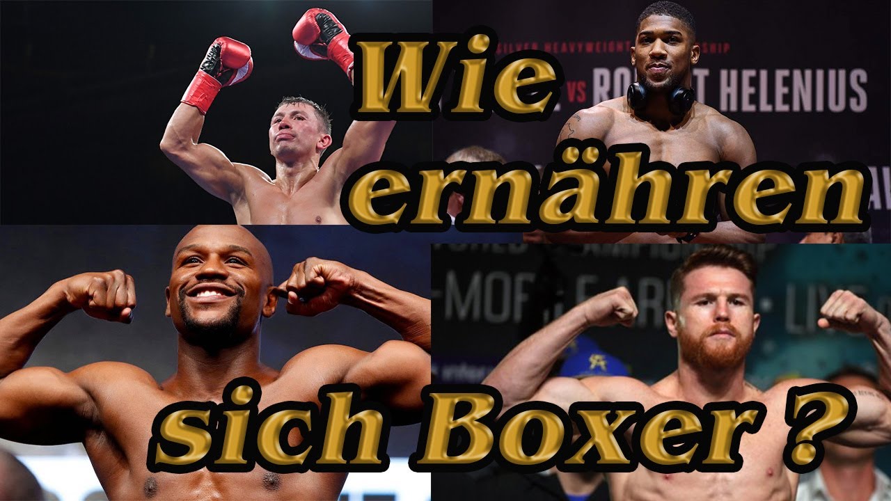 Wie ernähren sich Top-Boxer wie Mayweather, Joshua und Alvarez ❓