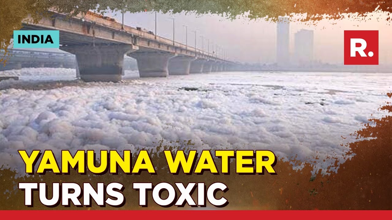 Piles Of Garbage And Toxic Foam, Delhi's Yamuna River Needs Attention
