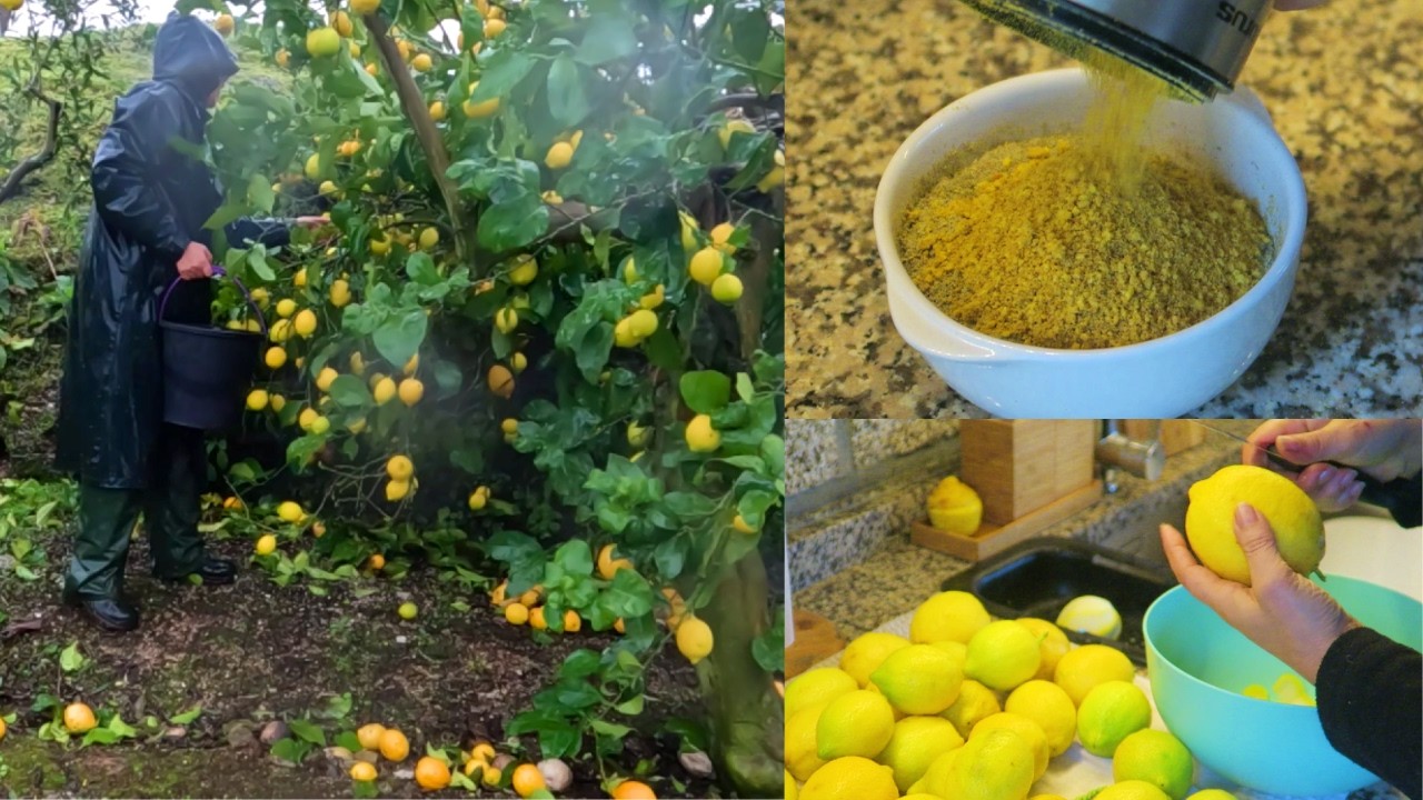 TEMPERO CASEIRO QUE TRANSFORMA QUALQUER PRATO- COMO ESTÁ O RIO DA SELVA