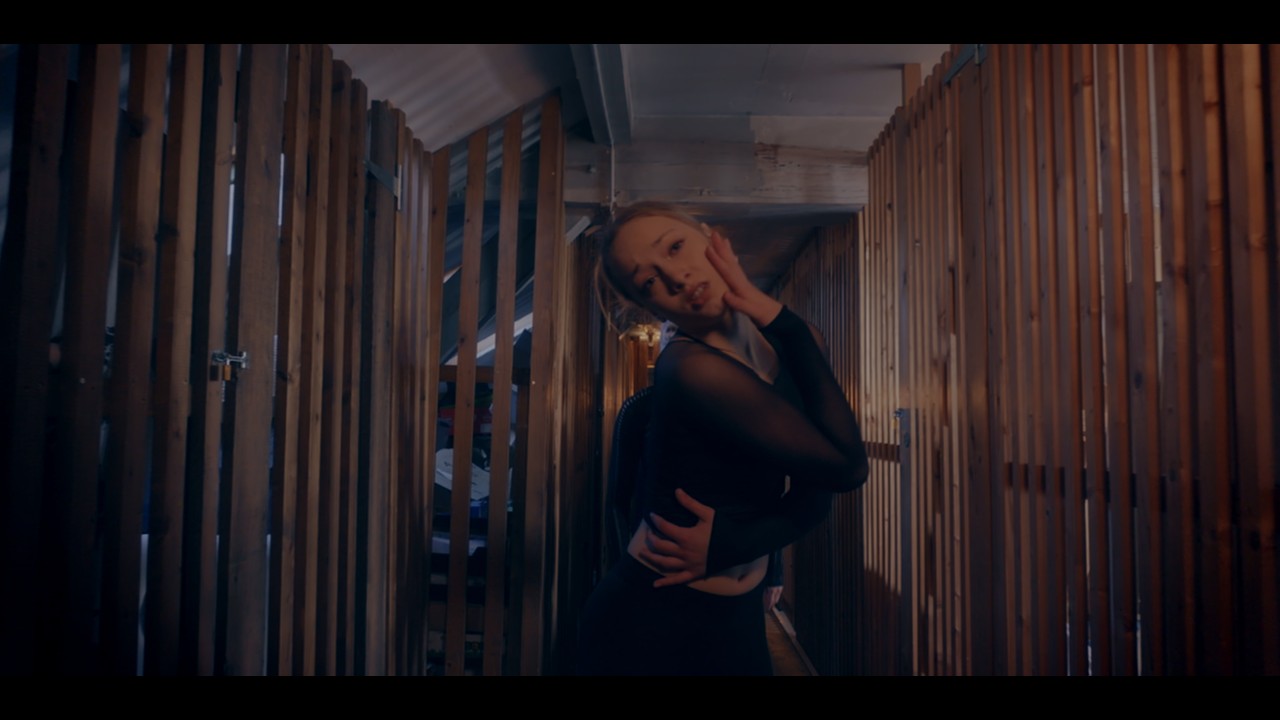 NicoLino - So many Reasons (Dance Video) Helena Pulinna x Nico Lüthi