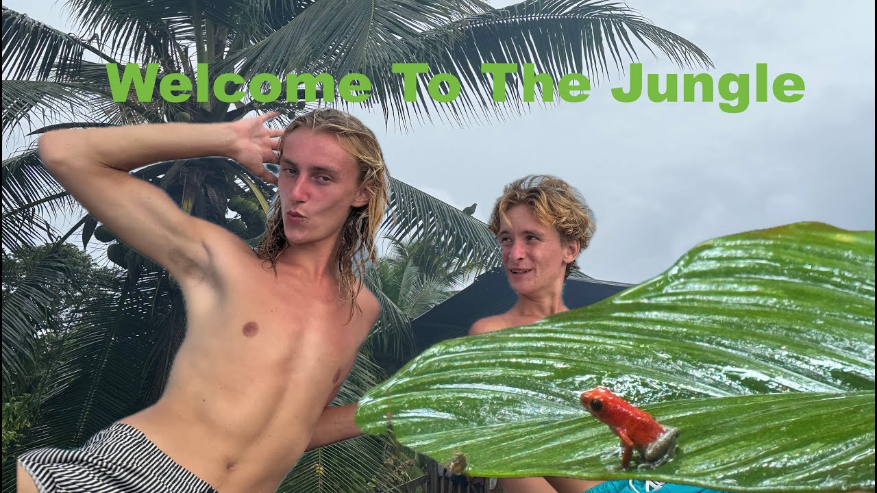 This Is Why We Sail | Dolphins, Jungle Adventures & Remote Islands. Week 83