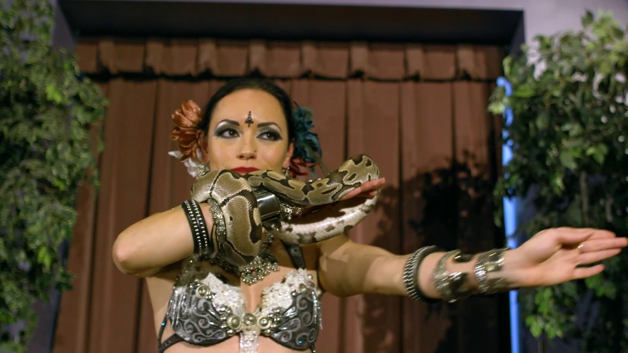 Belly Dance Montage - Christina Sirmons