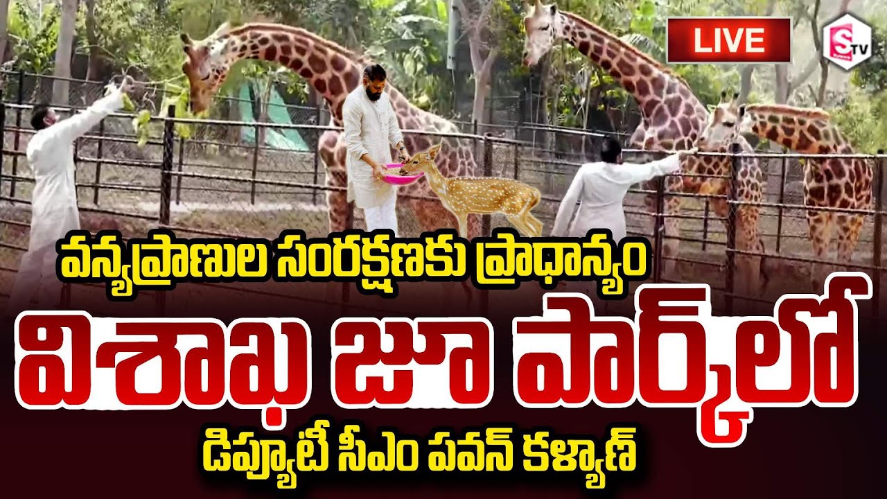 LIVE || విశాఖ జంతు ప్రదర్శనశాలను పరిశీలిస్తున్న పవన్ కళ్యాణ్ Deputy CM Pawan KalyanVisakhapatnam Zoo