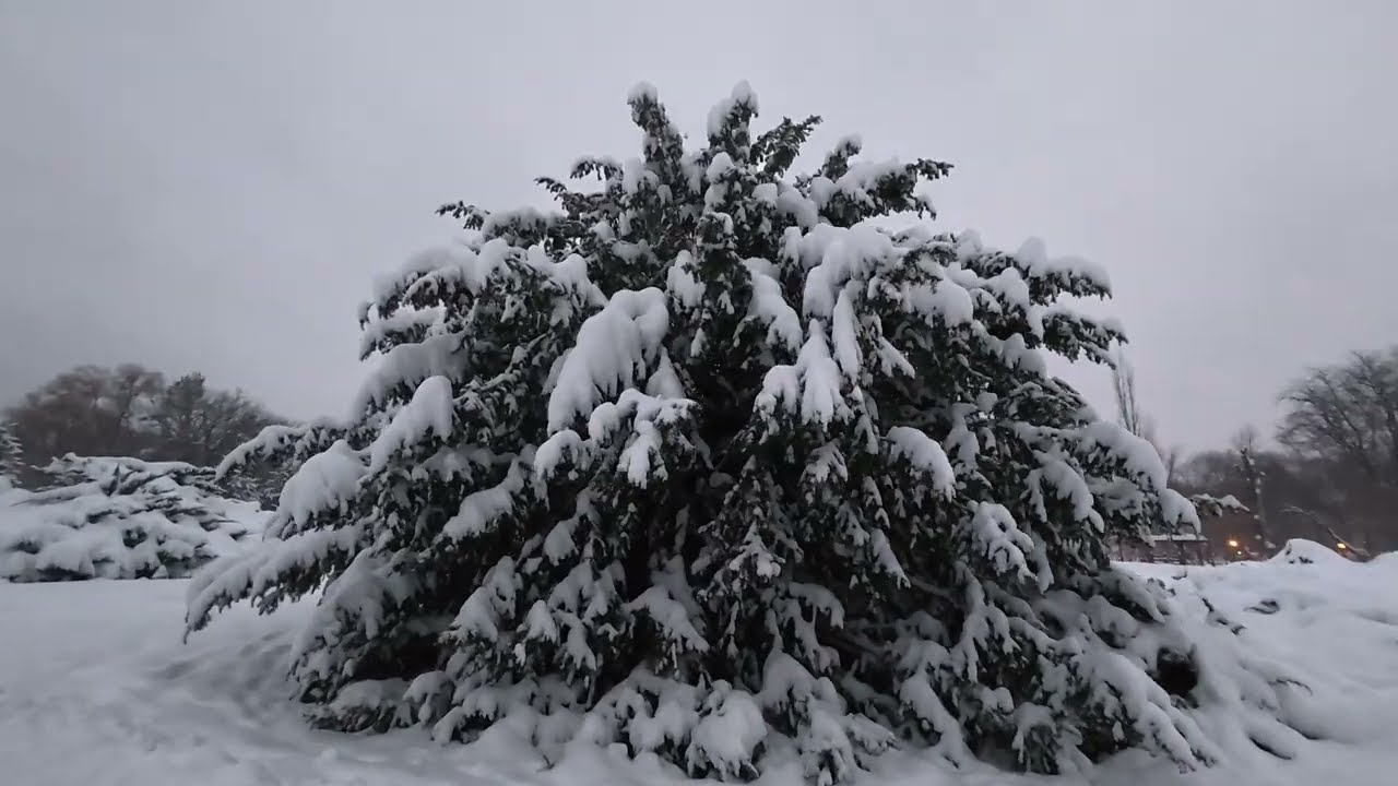 Bucharest Winter in the park at 6 am