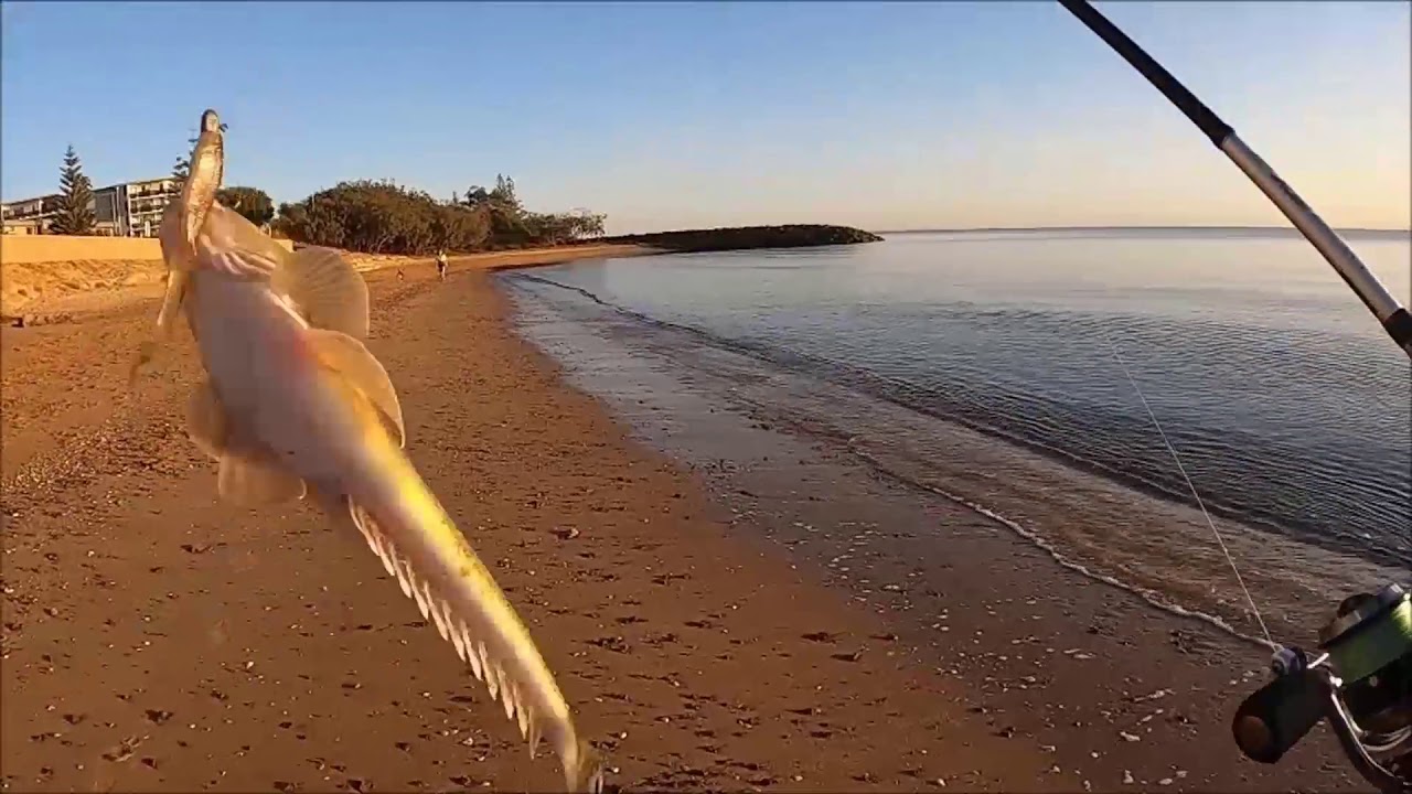 How to Catch Flathead on Soft Plastics with Wayne Groomes