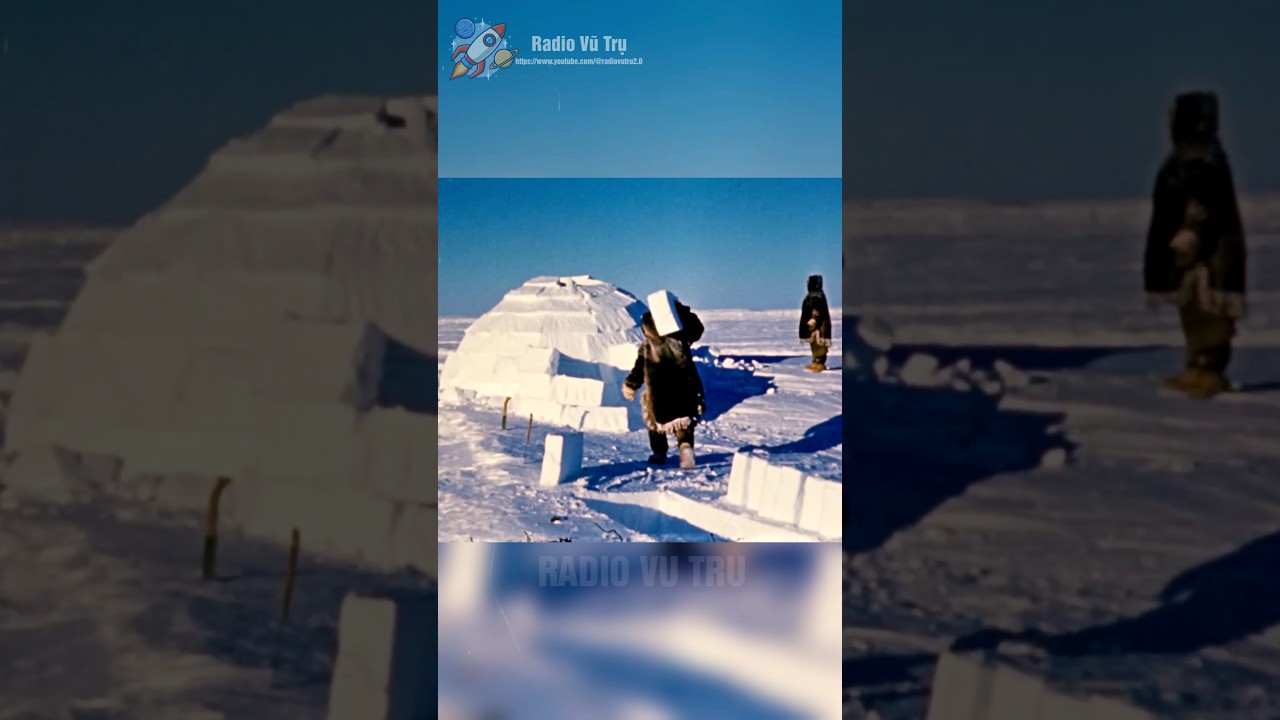 Vì Sao Nhà Tuyết Igloo Có Thể Ấm Giữa -40°C?