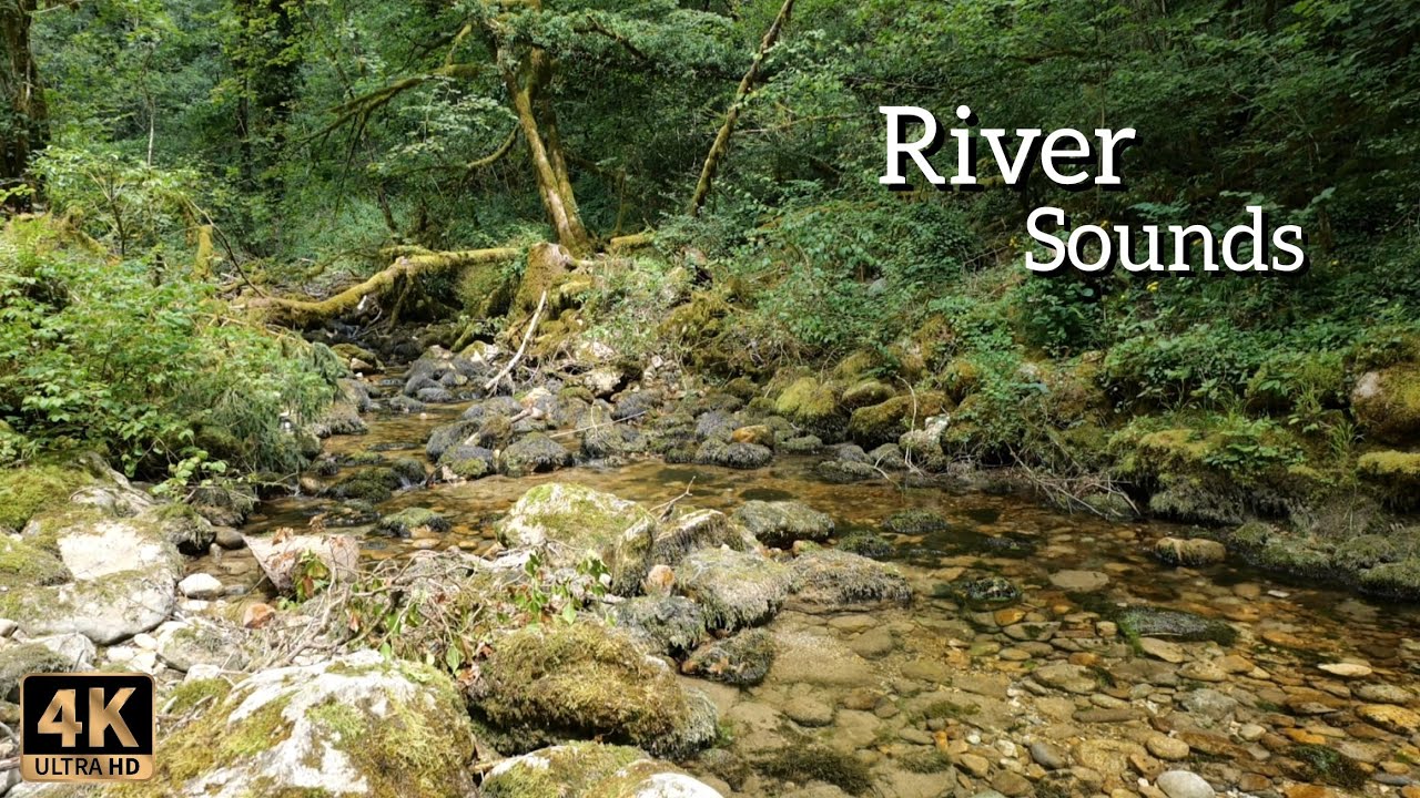 3 Hours Relaxing Water Stream | Peaceful Forest Rivers | Nature Meditation