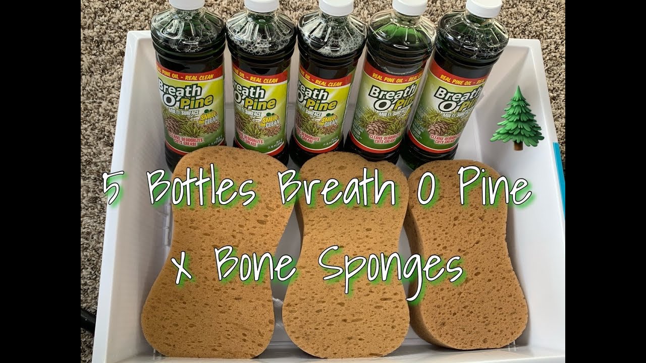 5 BOTTLES BREATH O PINE 🌲 X BONE SPONGES | RINSING INCLUDED | SO STRROOONNGGGGG