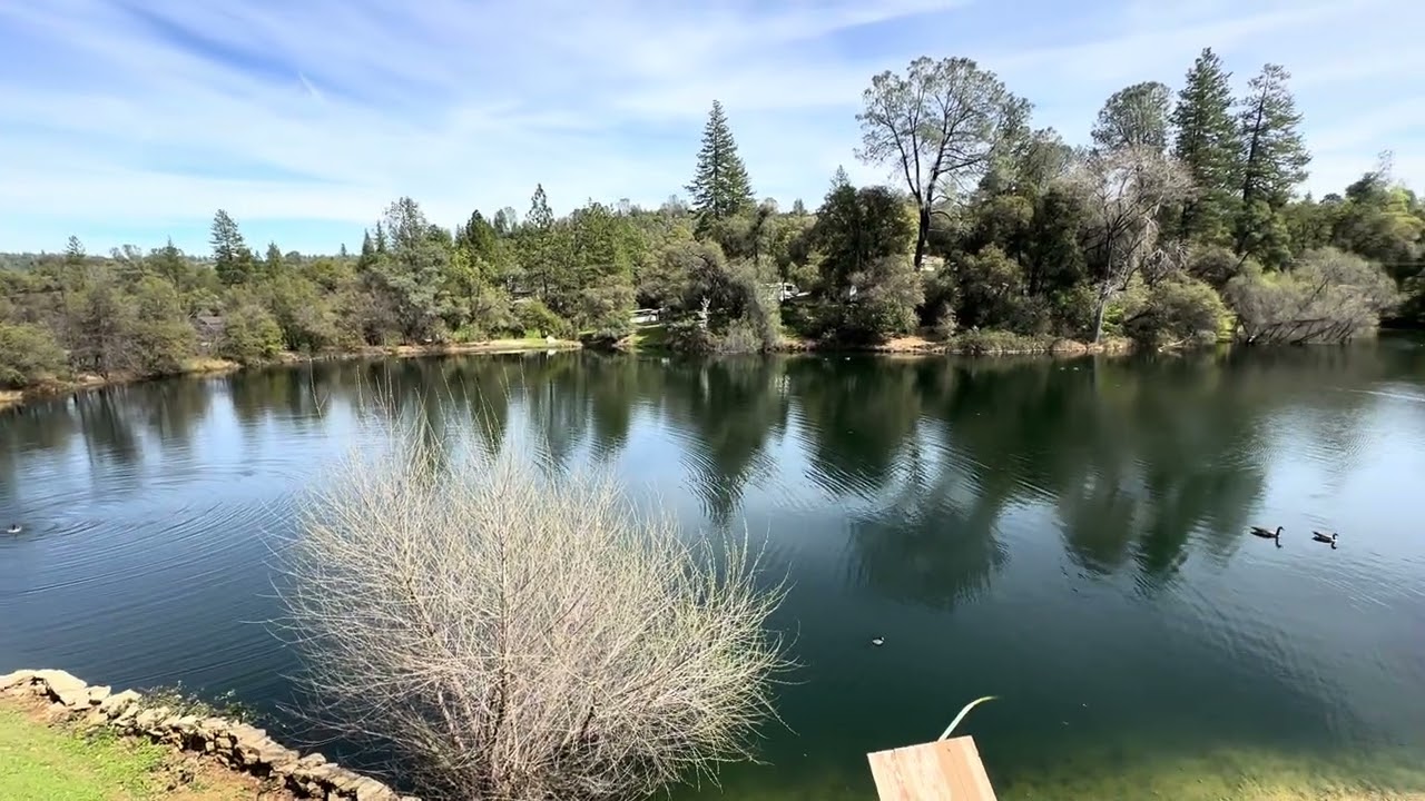 Beautiful Day! So Blessed 😇 