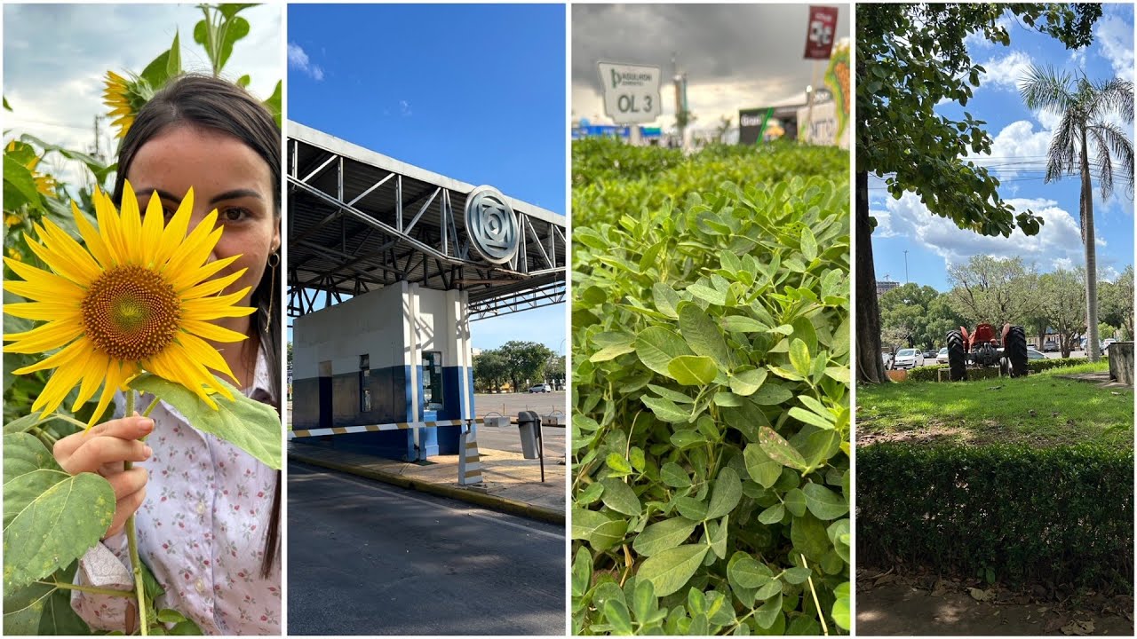 Vlog ┃Primeira semana de aula no mestrado em Agronomia 🌱