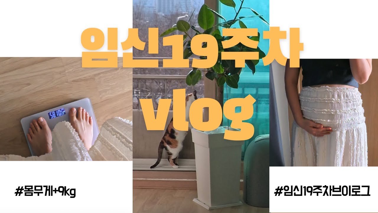 임신19주차 인사드립니다